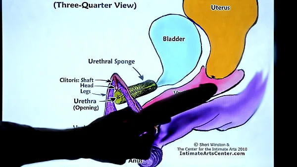 SQUIRTING TUTORIAL #2 - How to Make Girl SQUIRT?