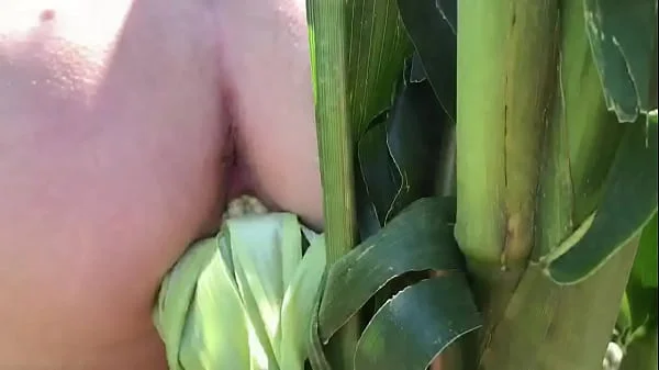 Riley Jacobs playing in corn field